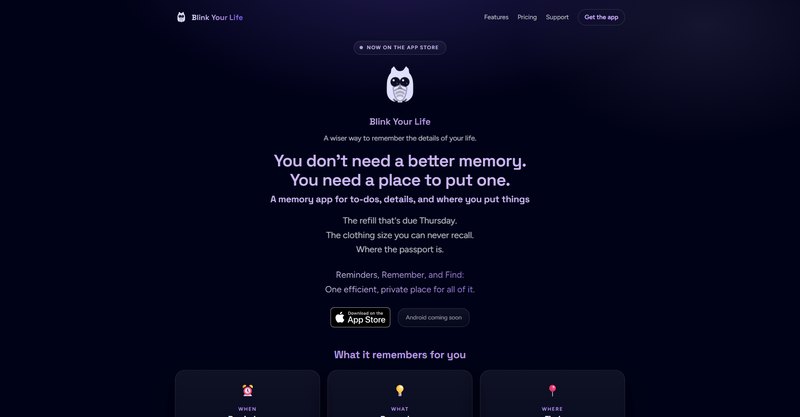 Blink Your Life: Website homepage on desktop