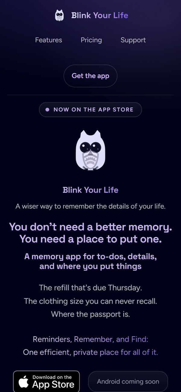 Blink Your Life: The website homepage on a phone, with Blink the owl and the headline